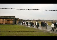 Lessons from Auschwitz