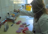 Możliwe 100 tys. zachorowań na AH1N1 dziennie