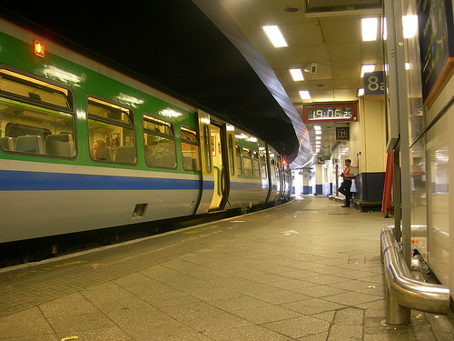 Zaniepokojeni pasażerowie. Myszy na New Street Station