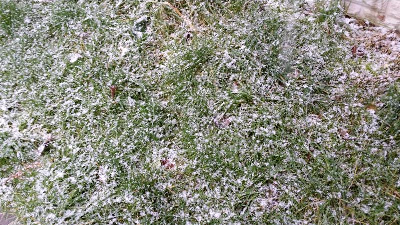 Birmingham w pierwszych płatkach śniegu