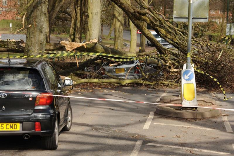 Silny wiatr uderzył w West Midlands – przewrócone drzewa i utrudnienia na kolei