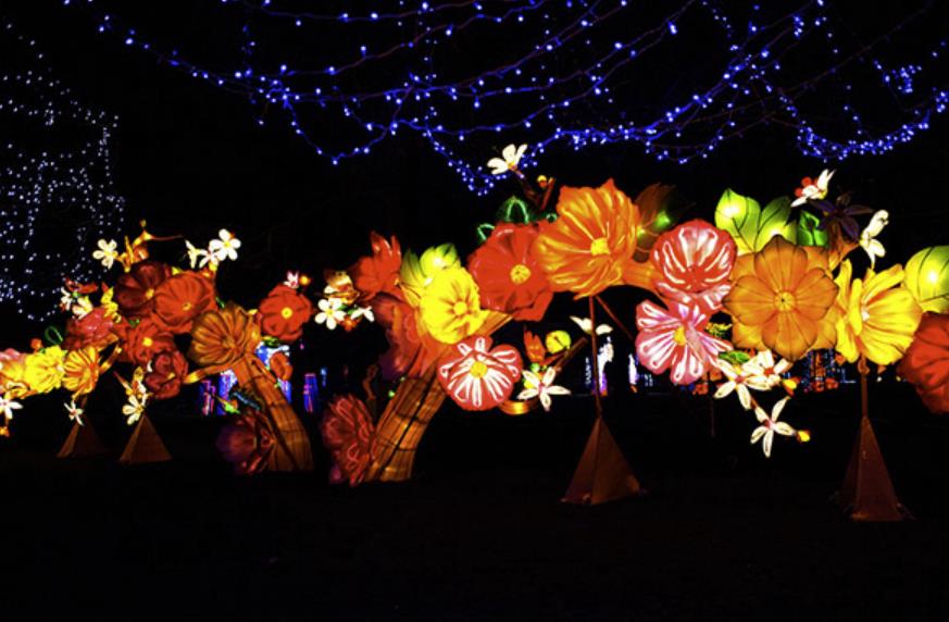 Magical Lantern Festival w Botanical Gardens w Birmingham