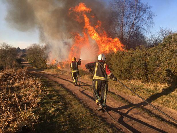 Pożar w Sutton Park