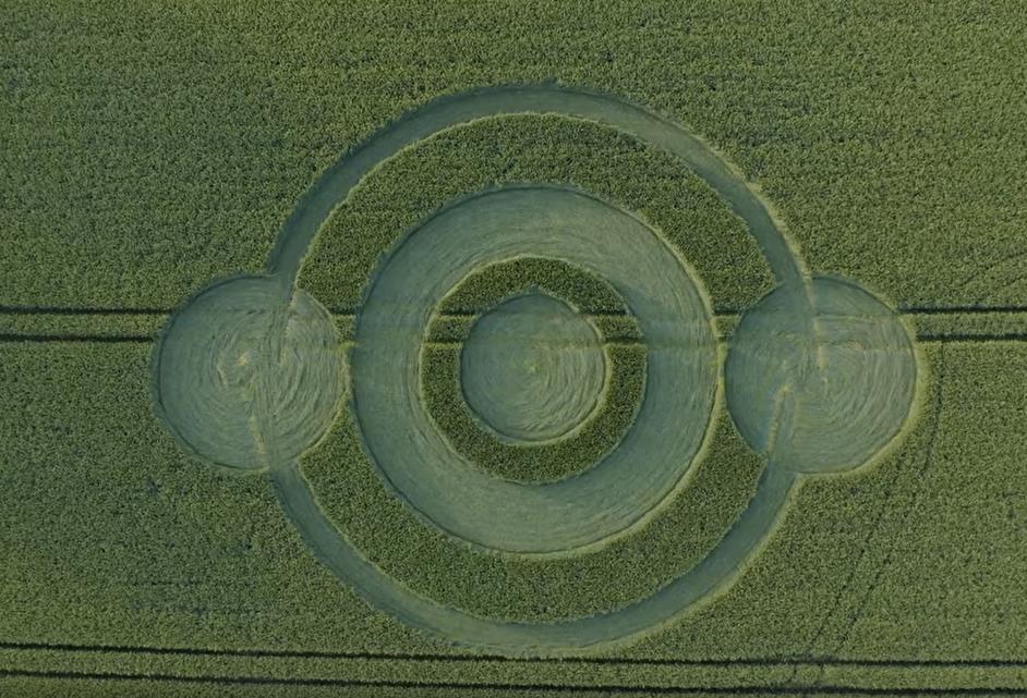 W Wielkiej Brytanii zaobserwowano pierwsze w tym roku kręgi w zbożu