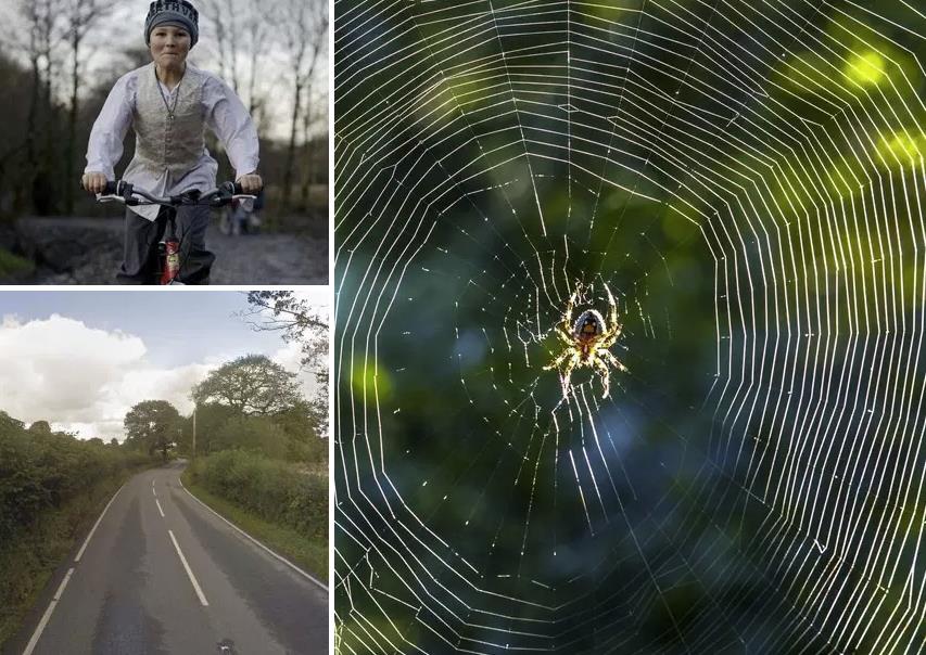 11-latek zginął w wypadku, bo kierująca matka przestraszyła się pająka