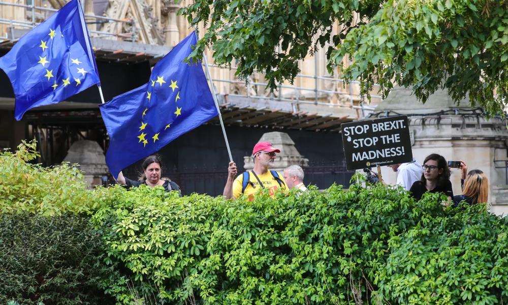 Brytyjczycy nie chcą zawieszenia parlamentu. Protesty i milion podpisów pod petycją