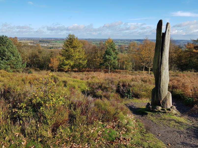Birmingham City Council chce wprowadzić opłaty za parkowanie w Lickey Hills Country Park