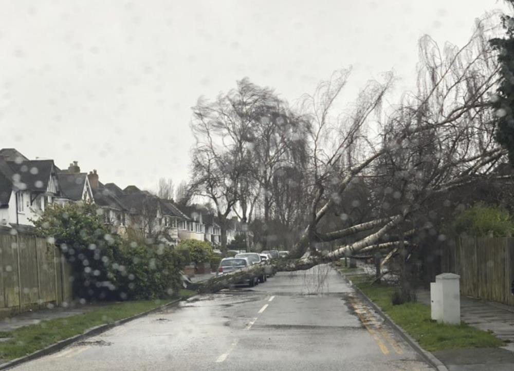 Sztorm Ciara wywołał chaos. Powalone drzewa, odwołane loty i pociągi, zamknięte atrakcje turystyczne