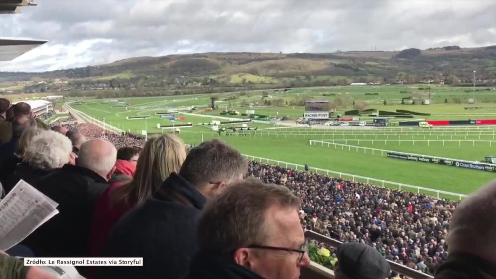 Tysiące widzów na wyścigach konnych w Wielkiej Brytanii pomimo zagrożenia koronawirusem