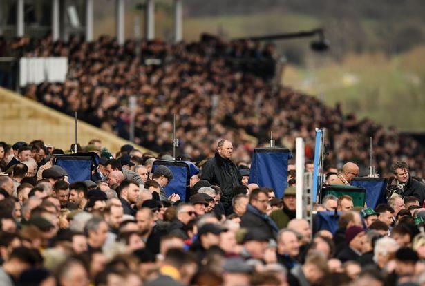 Ponad 250 000 osób wzięło udział w Cheltenham Festival, teraz coraz więcej uczestników zgłasza objawy koronawirusa.