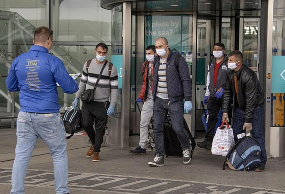 Do UK przyleciało 150 pracowników sezonowych z Rumunii. Zostali ściągnięci przez farmerów, którym brakuje rąk do pracy