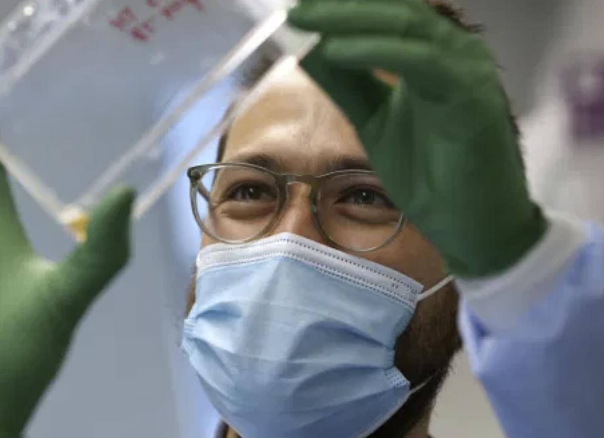 Czy należy obawiać się nowego szczepu koronawirusa wykrytego w Wielkiej Brytanii?