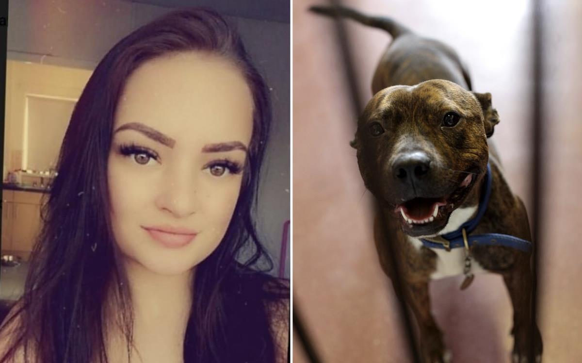 25-letnia kobieta zagryziona przez psa podczas snu