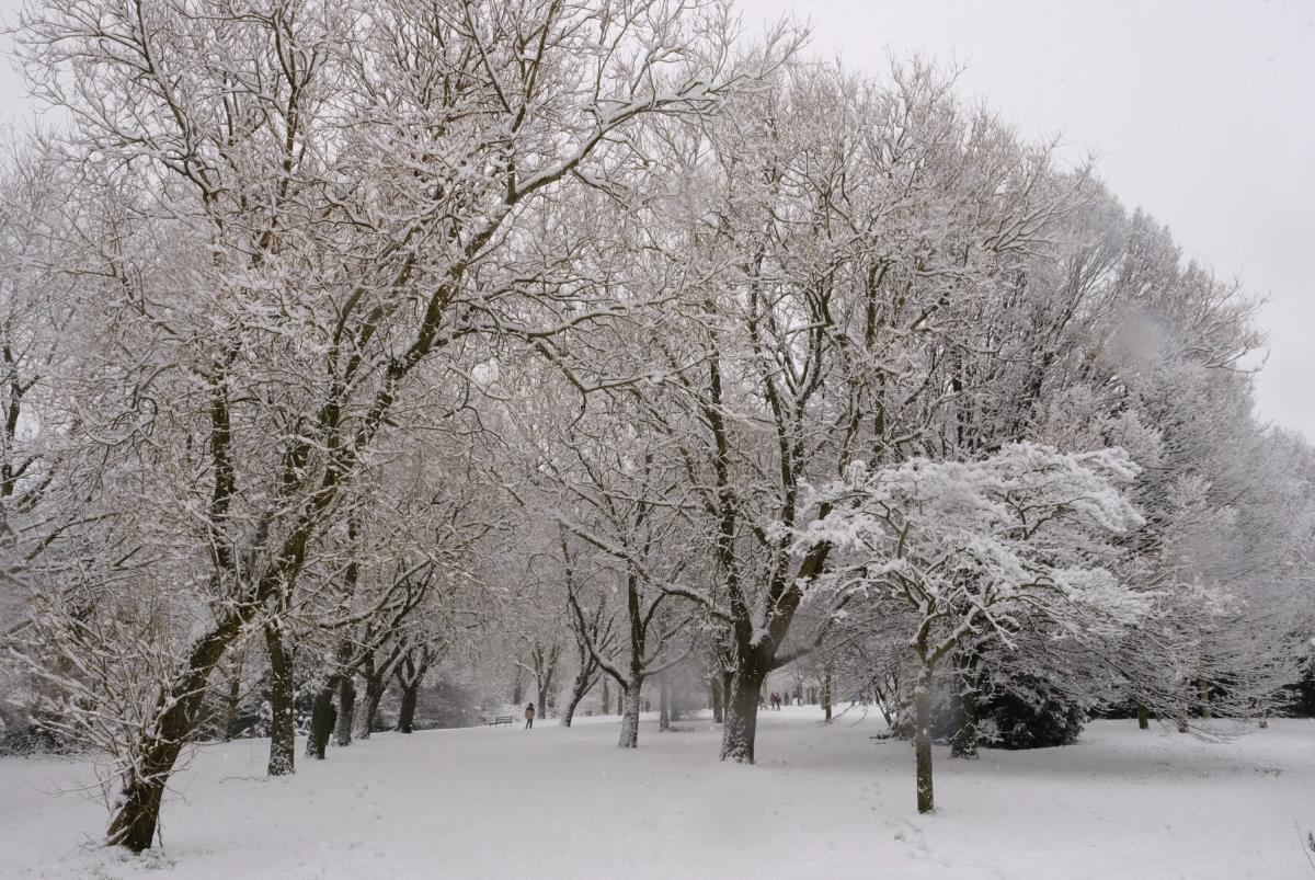 Najzimniejsza noc od 26 lat. W Wielkiej Brytanii odnotowano -22,9 °C