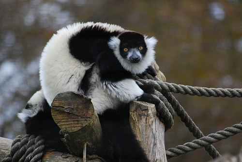 Birmingham Nature Centre