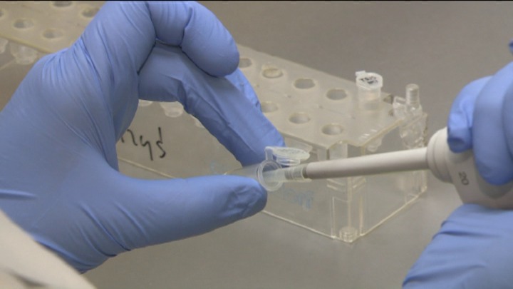 Podejrzany o morderstwo ma dwa różne DNA