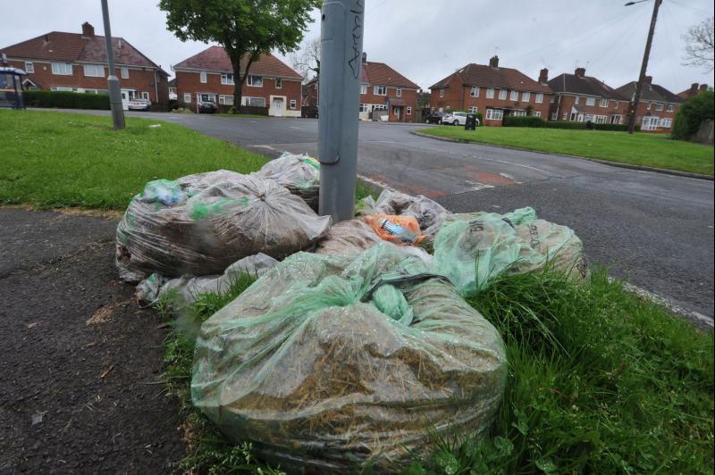 Sekretna zbiórka odpadów zielonych