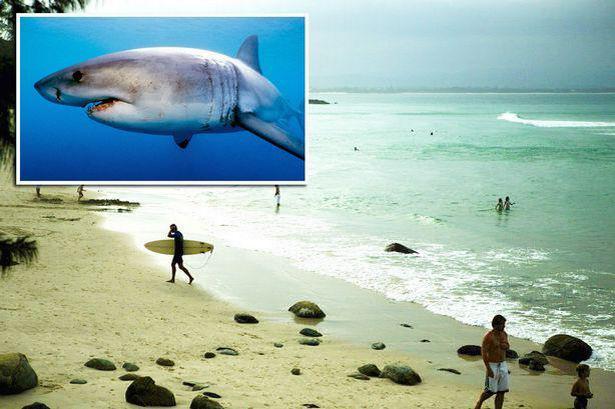 Przedsiębiorca z Midlands zabity przez rekina