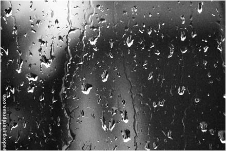 Nowe ulewy, wichury i potop