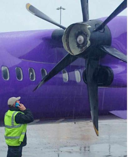 Kolizja z ptakiem przyczyną awarii silnika samolotu zmierzającego do Birmingham