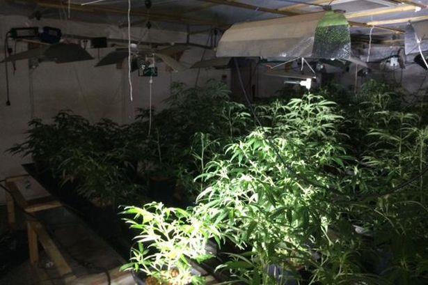 Próbowali włamać się na plantację marihuany w Digbeth