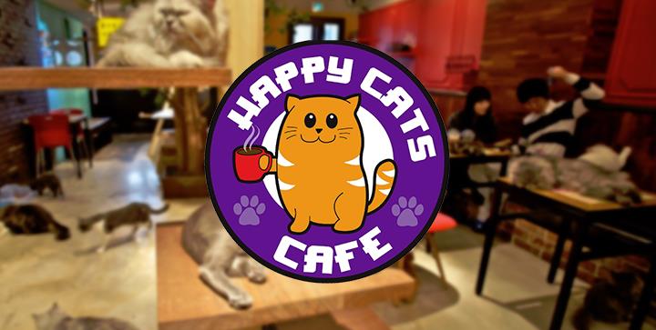 Już niedługo, w Birmingham, zostanie otwarta pierwsza kocia kawiarnia