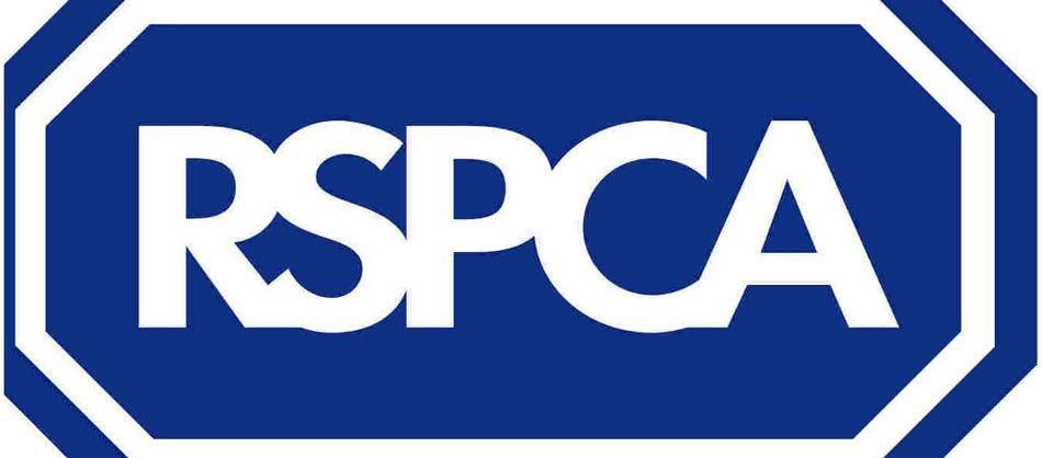 Powieszony kot znaleziony w budynku w Brierley Hill – RSPCA poszukuje sprawców