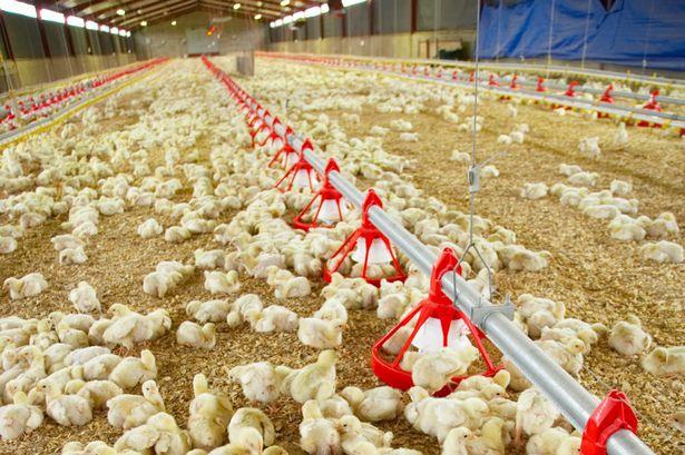 Praca za 40 tys. funtów rocznie i nie ma chętnych