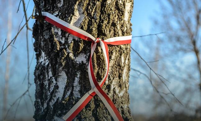 Dziś mija 5 lat od katastrofy smoleńskiej