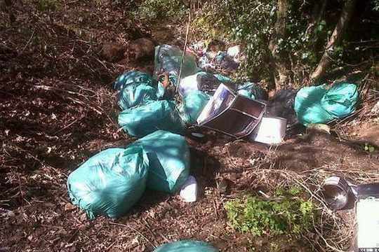 W Walsall znaleziono porzucone worki wypełnione roślinami marihuany