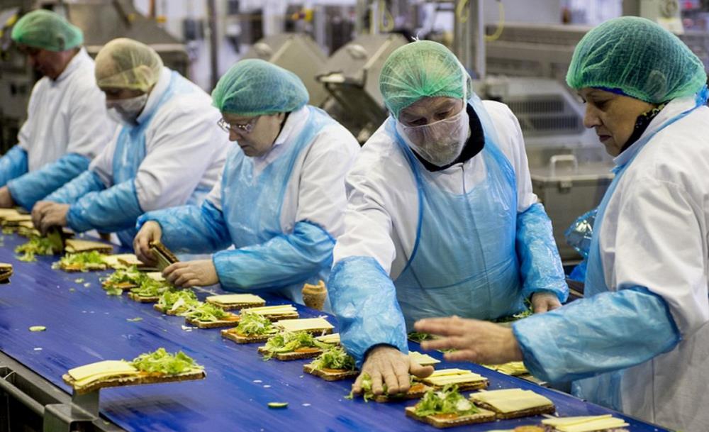 Produkują 3 mln kanapek tygodniowo – połowa z zatrudnionych to Polacy