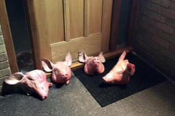 Mężczyzna oskarżony o podrzucenie świńskich głów pod meczet stanął przed sądem