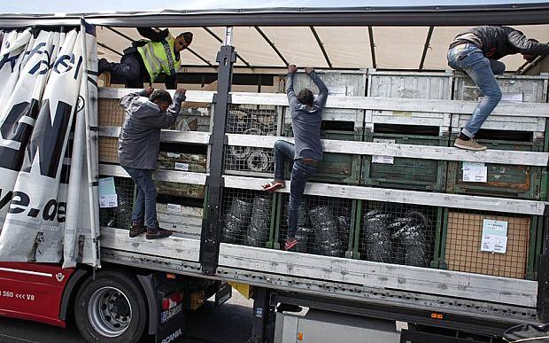 UK zbuduje płot we francuskim porcie chroniący przed nielegalnymi imigrantami