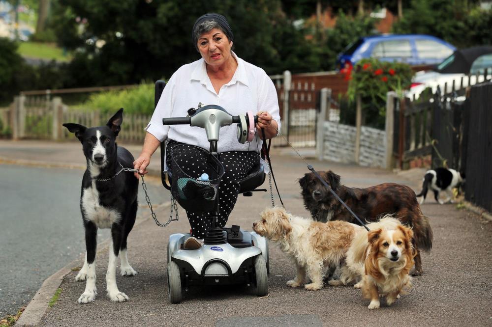 Niepełnosprawna kobieta z Northfield zatakowana przez agresywnego psa