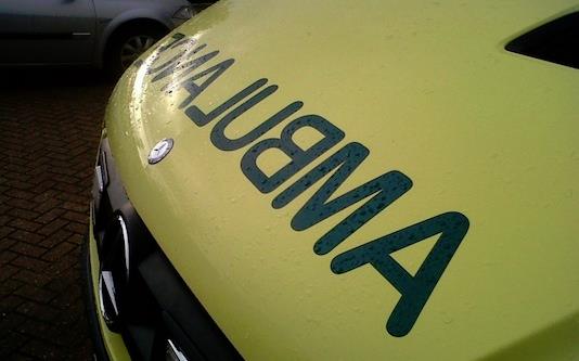 Strażacy uratowali dwoje nastolatków i psa na jeziorze w Sutton Park