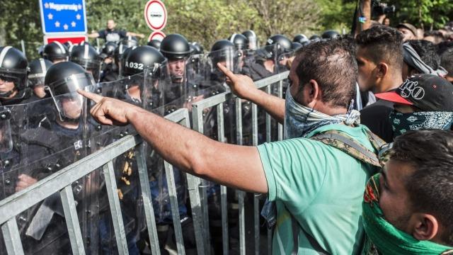 Wśród aresztowanych imigrantów na granicy Węgierskiej rozpoznano „terrorystę”