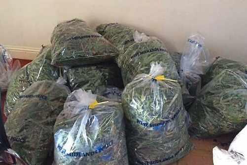 West Midlands Police przejęła we wrześniu marihuanę o wartości 1 mln funtów