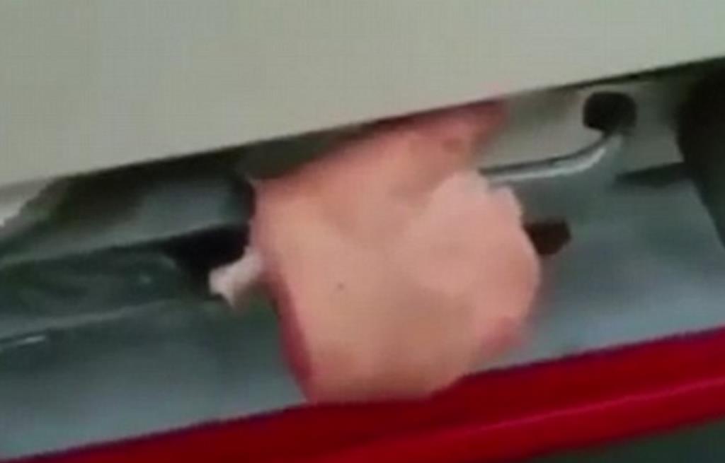 Kierowca przyczepił do ciężarówki kawałki wieprzowiny, by odstraszyć muzułmańskich imigrantów