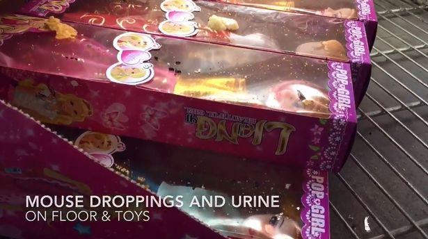 Mysie odchody w sklepie w Aston – inspektorzy Environmental Health zamykają lokal