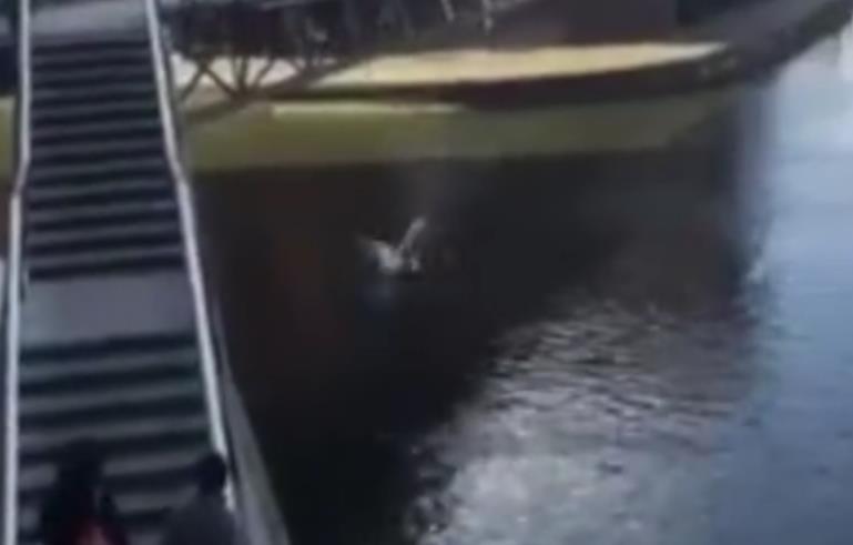 Mężczyzna po wypiciu drinka wskoczył do kanału w Birmingham