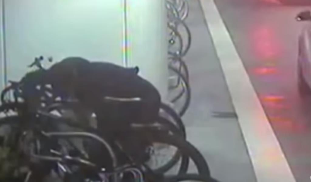 Złodziej ukradł warty 600 funtów rower w zaledwie 40 sekund