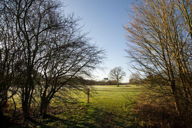 Martwy pies porzucony w Walkers Heath Park w Birmingham