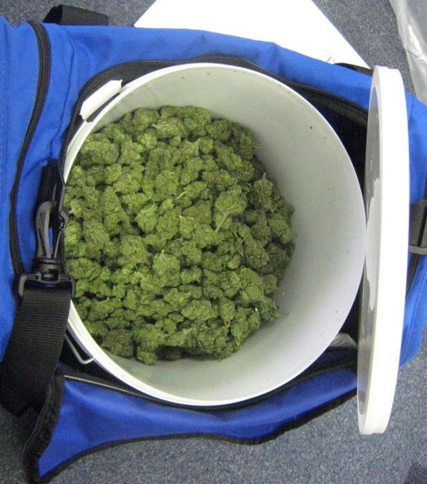 Jadący pociągiem diler wpadł w ręce policji, bo inny pasażer wyczuł od niego marihuanę