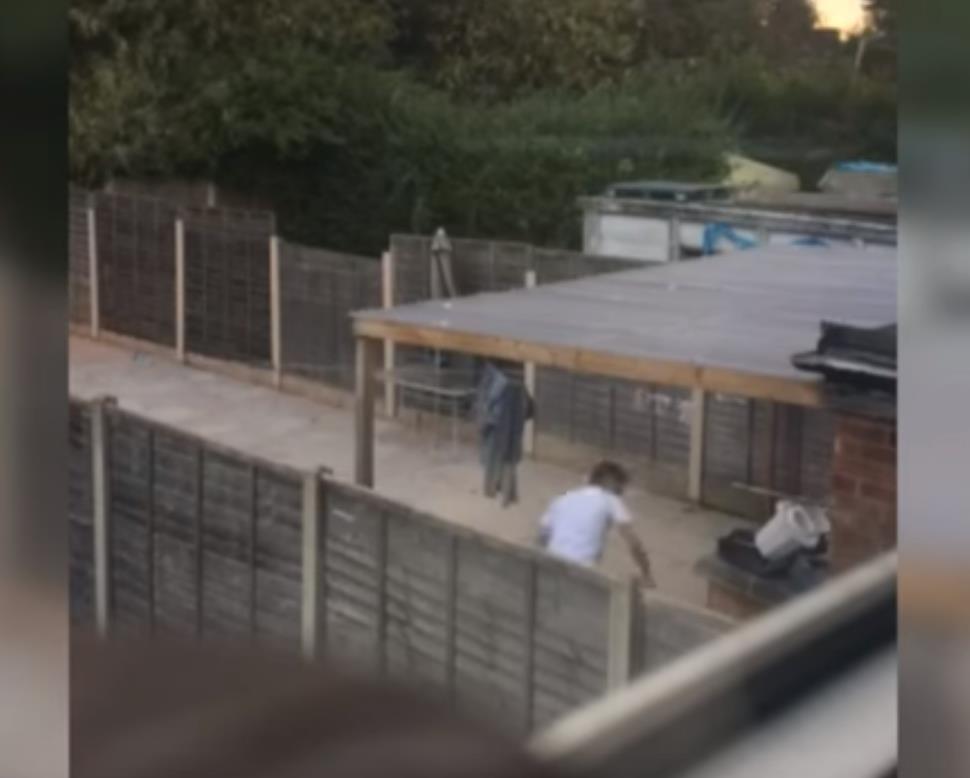 Sąd skazał na więzienie mężczyznę, który znęcał się nad psem