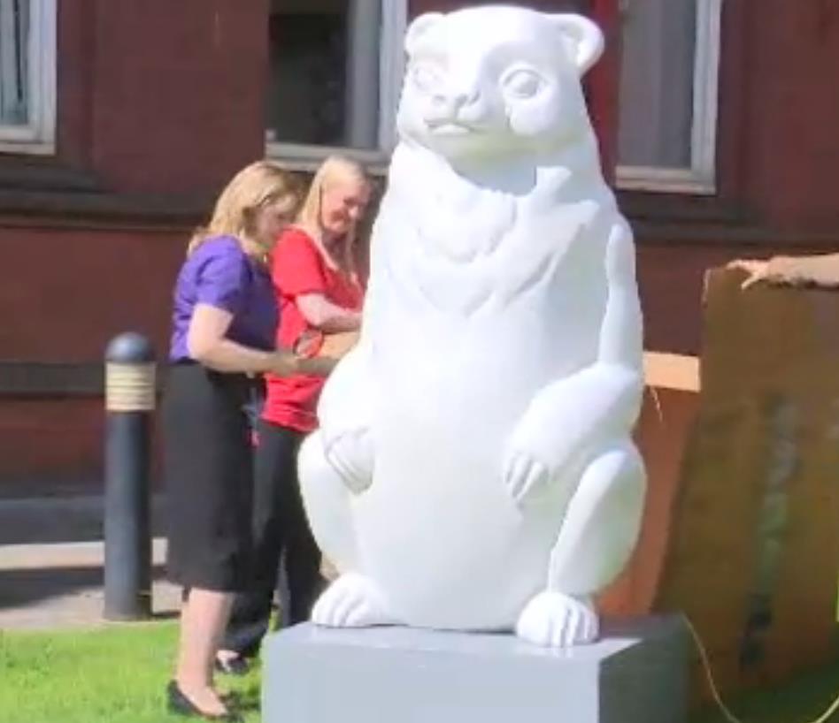 Birmingham przygotowuje się na inwazję niedźwiedzi