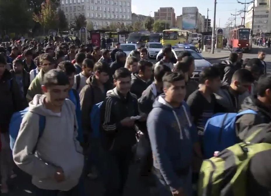 Uchodźcy rozpoczęli marsz z Belgradu do granicy z Węgrami