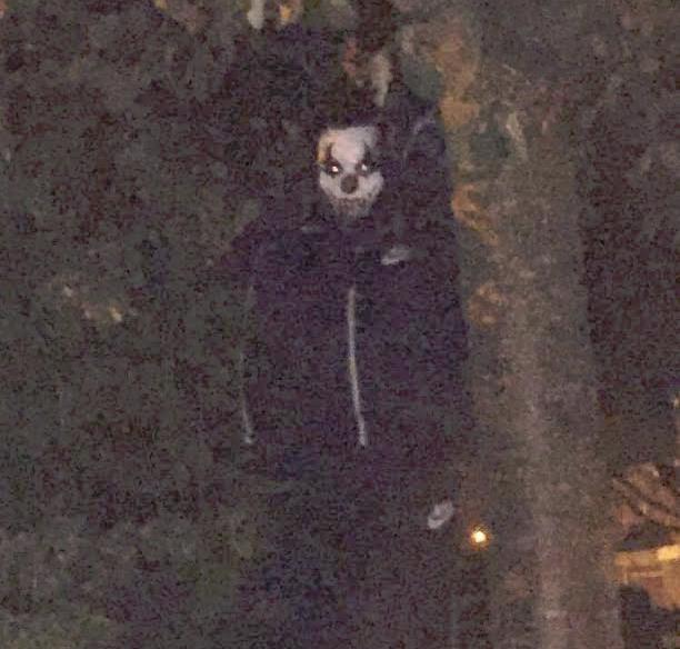 Osoba przebrana w kostium „zabójczego klauna” zauważona w Birmingham