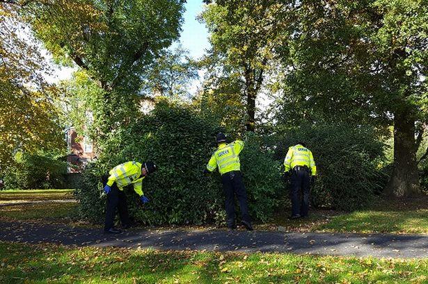 Policja z West Midlands wkracza do parków w poszukiwaniu ostrych narzędzi