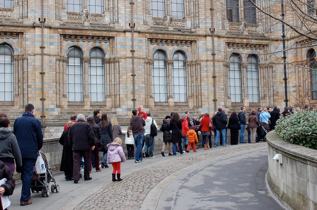 Imigranci powinni uczyć się znaczenia stania w kolejkach i bycia miłym