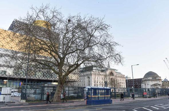 Stuletnie drzewo w Birmingham zostanie wycięte, by wznieść zabezpieczenia przed terrorystami